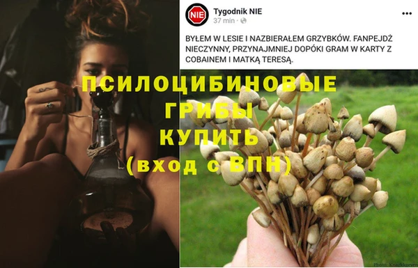 кокаин Алексин