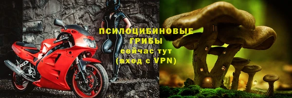 spice Алексеевка
