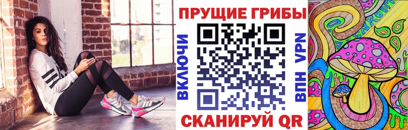 Псилоцибиновые грибы прущие грибы  Олонец 