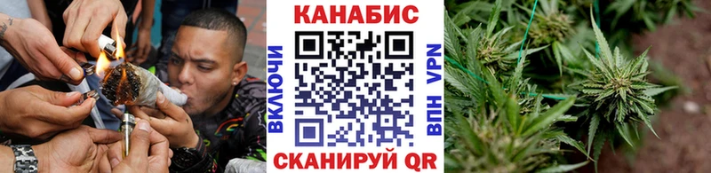 ОМГ ОМГ ссылка Олонец Бошки Шишки SATIVA & INDICA где можно купить наркотик
